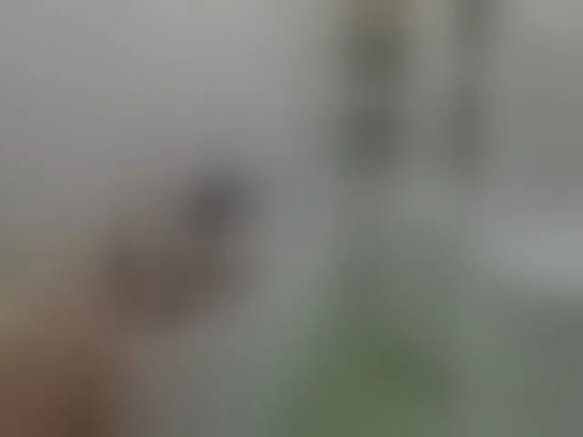Live sex webcam photo for Alex80-201 #292531900