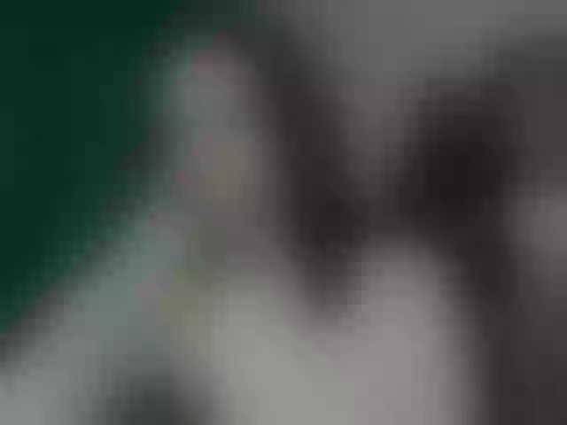 Live sex webcam photo for AlexNikaaa1815 #291847664