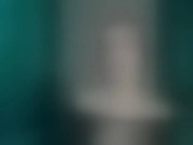 Live sex webcam photo for AlexNikaaa1815 #293010991