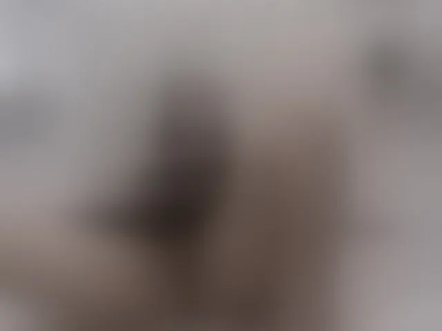 Live sex webcam photo for AlexaSmith #277331523