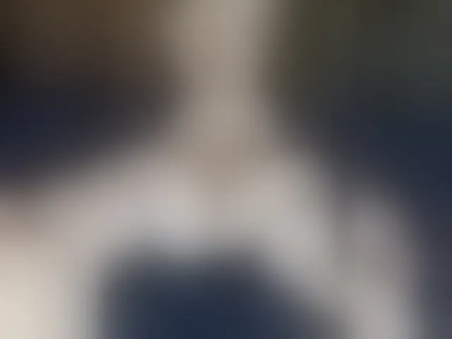 Live sex webcam photo for AlexaWowSexy #293874776