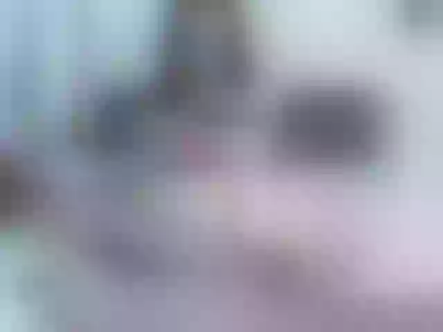 Live sex webcam photo for Alexadann #292049841