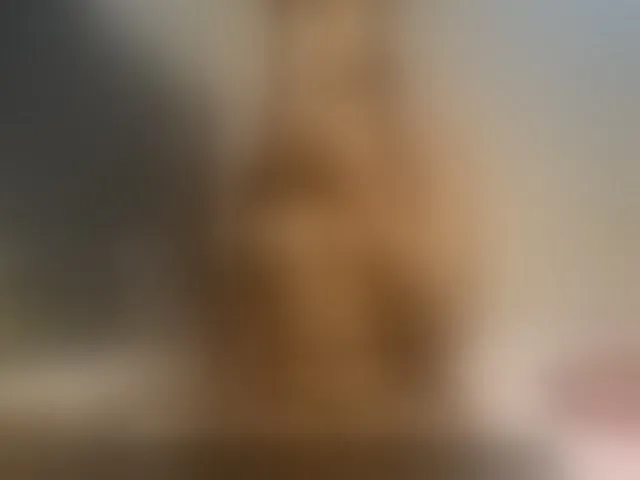 Live sex webcam photo for AlexahJade #293896489