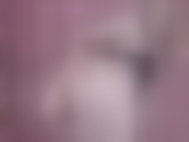 Live sex webcam photo for AlexandraXKitty #294202019