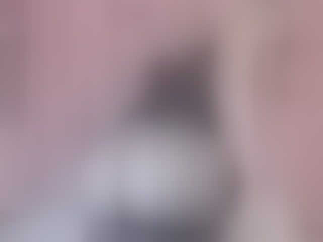 Live sex webcam photo for AlexandraXKitty #294241964