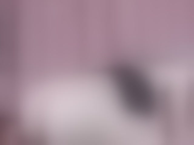 Live sex webcam photo for AlexandraXKitty #294281598