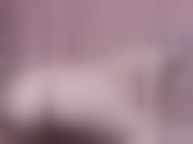 Live sex webcam photo for AlexandraXKitty #294293616