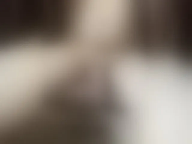 Live sex webcam photo for AlexiStep #293835888