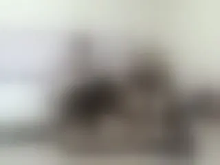 Live sex webcam photo for Alexialuv #287901673