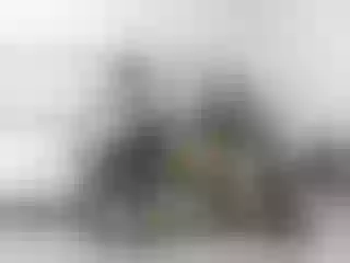 Live sex webcam photo for Alexialuv #287901674