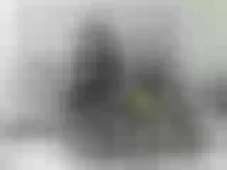 Live sex webcam photo for Alexialuv #287901732