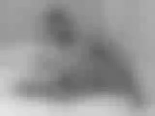 Live sex webcam photo for Alexialuv #287902092