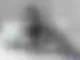 Live sex webcam photo for Alexialuv #287902098