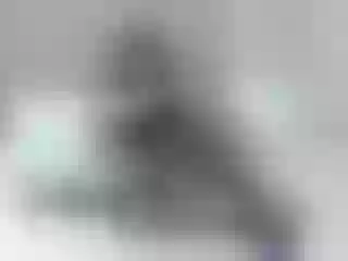 Live sex webcam photo for Alexialuv #287902099