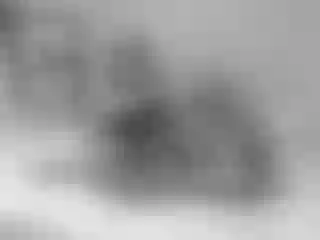 Live sex webcam photo for Alexialuv #287902245