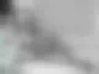 Live sex webcam photo for Alexialuv #287902268