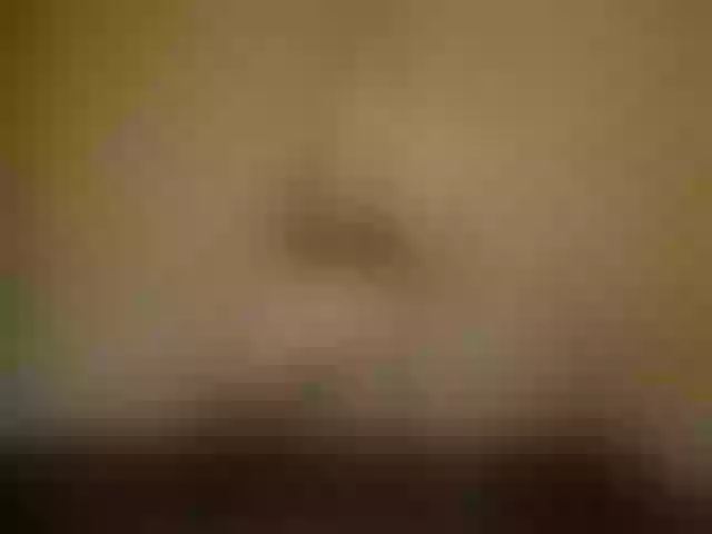 Live sex webcam photo for Alexis-Miss #288024752