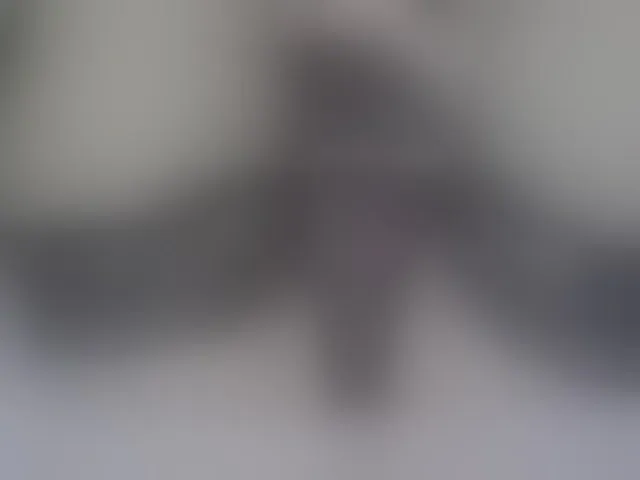 Live sex webcam photo for Alexjinna #293059859