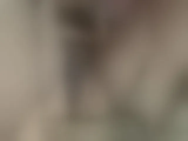Live sex webcam photo for Alexjinna #293803407