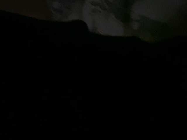 Live sex webcam photo for Alexks4 #276683213