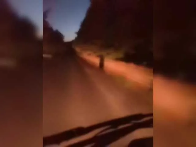 Live sex webcam photo for AlexxxAlexxxP #291240462