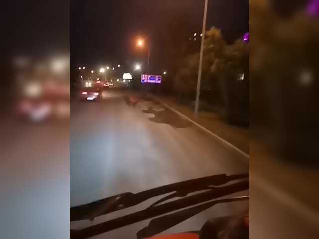 Live sex webcam photo for AlexxxAlexxxP #291247754