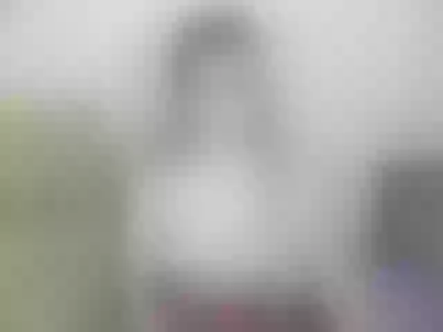 Live sex webcam photo for Alia-Crazy #291449531