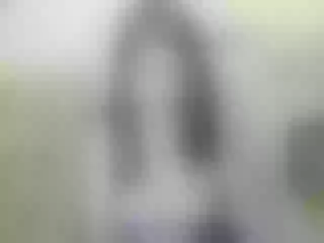 Live sex webcam photo for Alia-Crazy #291808071