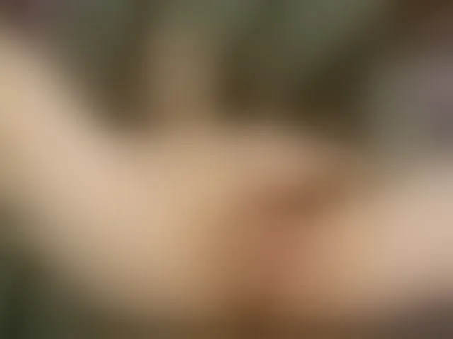 Live sex webcam photo for Alicantino84 #292607745