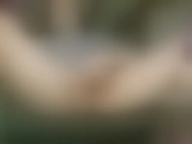 Live sex webcam photo for Alicantino84 #292634442