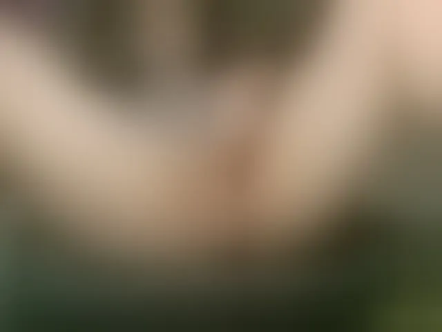 Live sex webcam photo for Alicantino84 #292646483