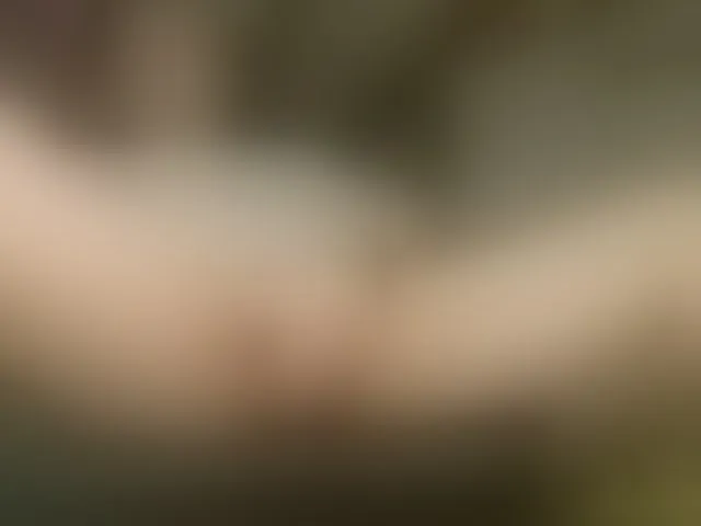 Live sex webcam photo for Alicantino84 #292683708
