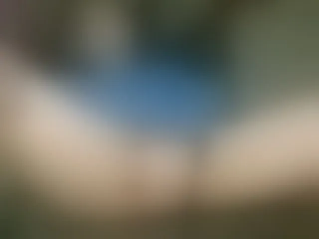 Live sex webcam photo for Alicantino84 #293013086