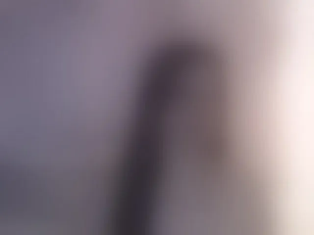 Live sex webcam photo for AliceBraga #291471666