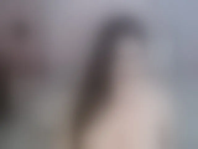 Live sex webcam photo for AliceBraga #293755307