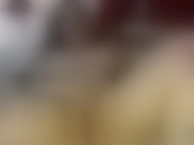 Live sex webcam photo for AliceBraga #293963748