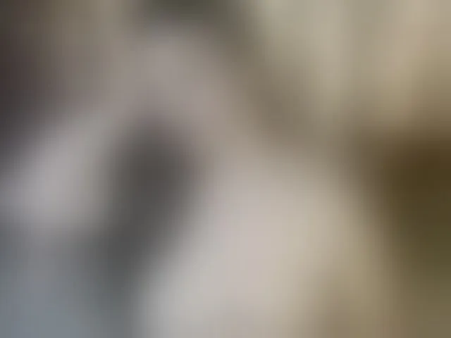 Live sex webcam photo for AliceBraga #293979228