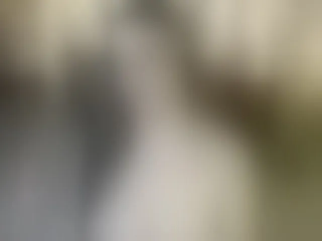 Live sex webcam photo for AliceBraga #293983271