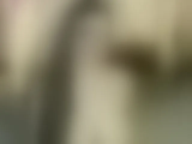 Live sex webcam photo for AliceBraga #294053117
