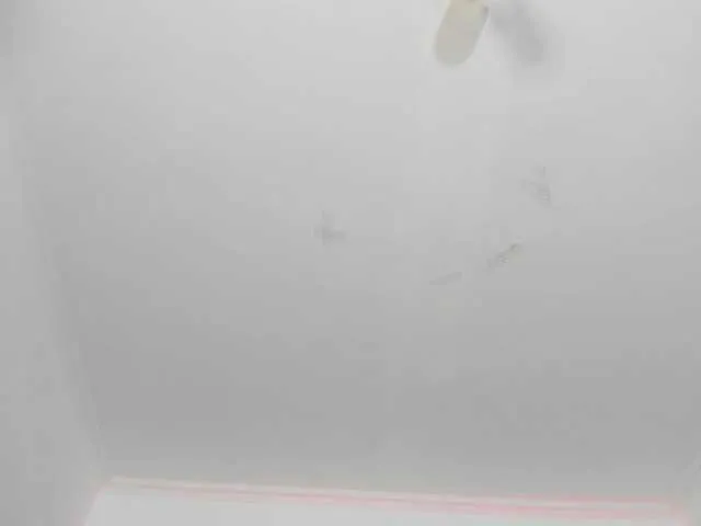 Live sex webcam photo for AliceMilleer #271918072