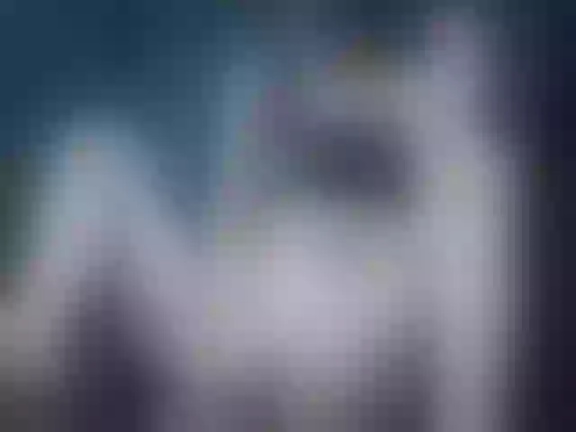 Live sex webcam photo for AliceOxy #276575956
