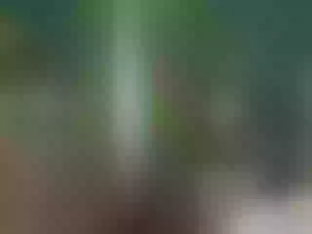 Live sex webcam photo for AlicePirs #284923280