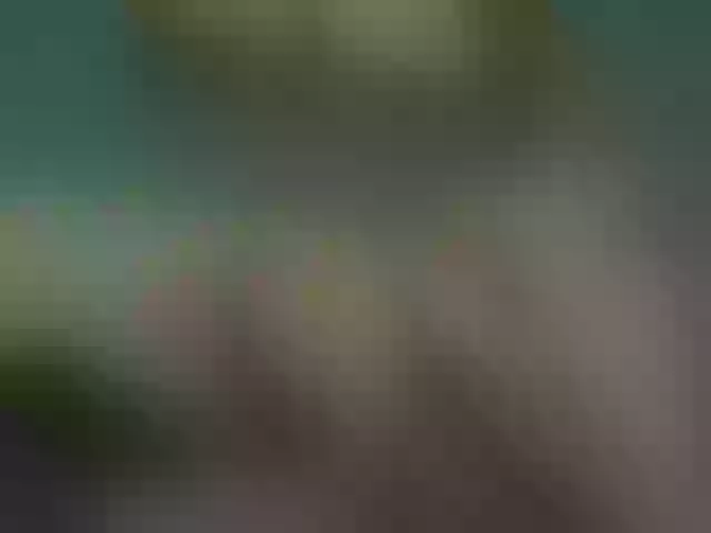 Live sex webcam photo for AlicePirs #289460623