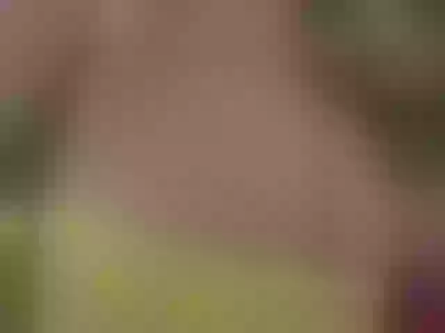 Live sex webcam photo for AlicePirs #290559310
