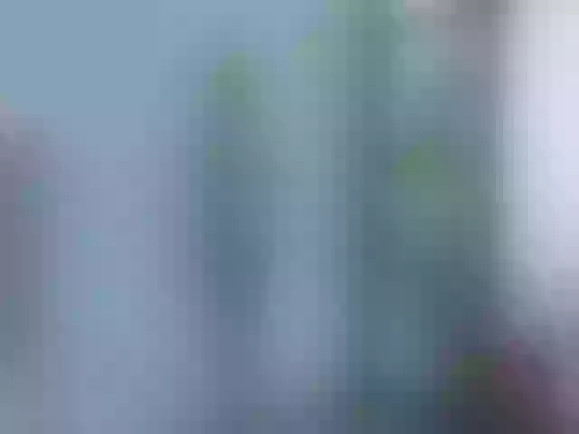 Live sex webcam photo for AlicePirs #290983506