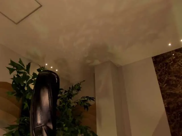 Live sex webcam photo for AliceWalkerX #273904392