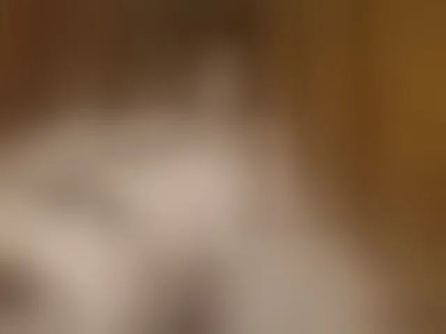 Live sex webcam photo for AliciaCooper #294048207