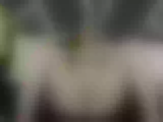 Live sex webcam photo for AliciaKennet #272075182