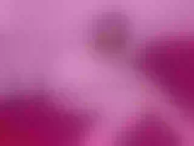 Live sex webcam photo for AliciaKennet #278309205