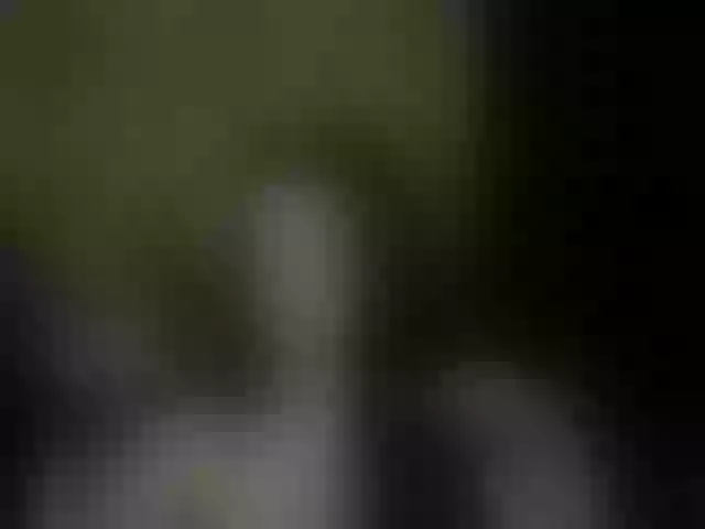 Live sex webcam photo for Aliciafolow009 #291219086